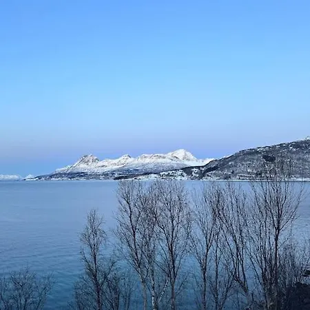 The Midnight Sun