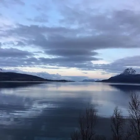 The Midnight Sun *