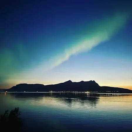 The Midnight Sun