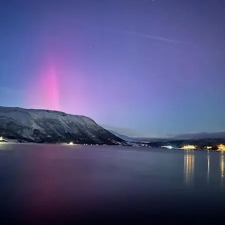 The Midnight Sun Feriehus