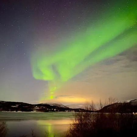 The Midnight Sun