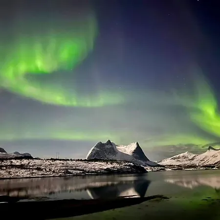 The Midnight Sun Holiday home Gratangen