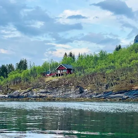 The Midnight Sun *