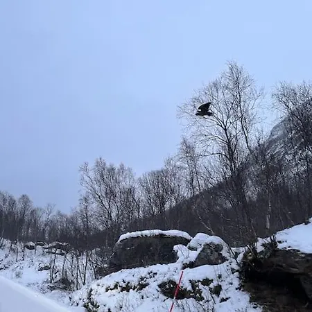 The Midnight Sun Σπίτι διακοπών Gratangen