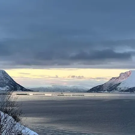The Midnight Sun *