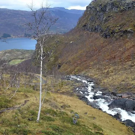 Vakantiehuis The Midnight Sun