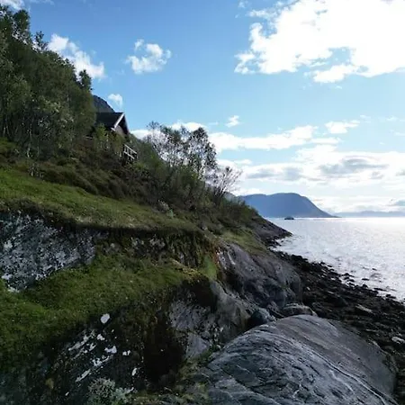 The Midnight Sun *