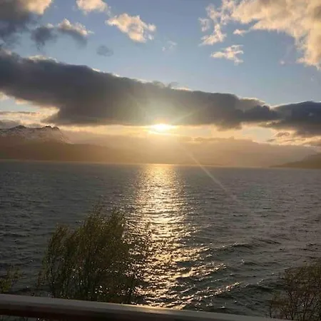 The Midnight Sun